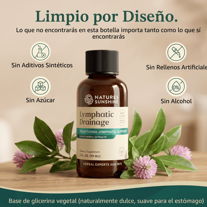 Nuevo Drenador Linfatico