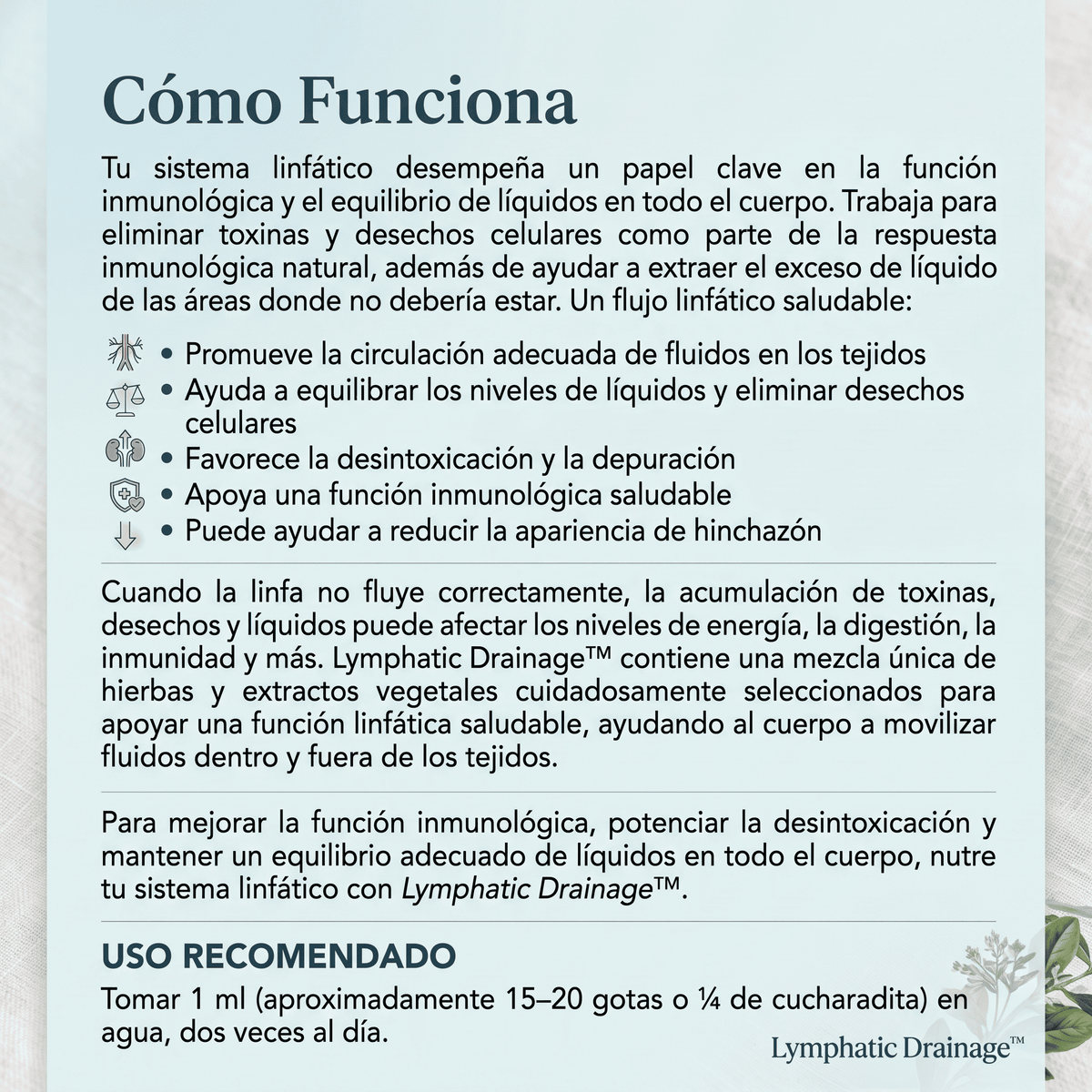 Nuevo Drenador Linfatico